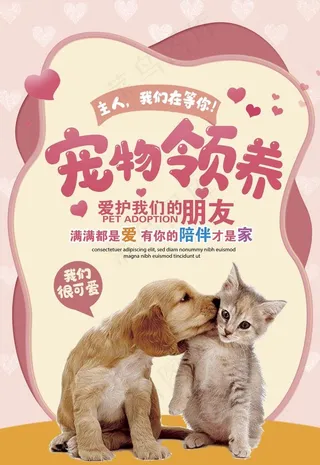 宠物领养图片