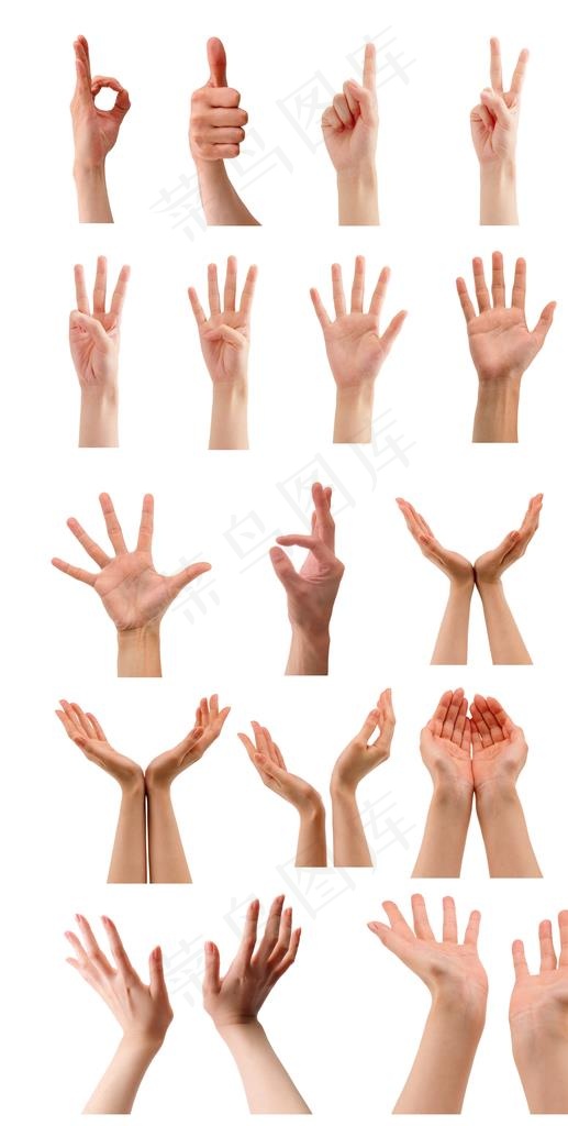 手势图片
