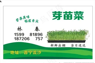 豆芽菜 名片图片