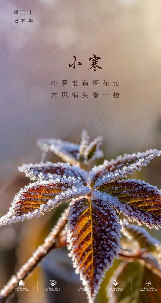 小寒图片(1240X2205(DPI:350))psd模版下载