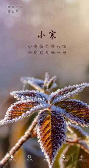 小寒图片
