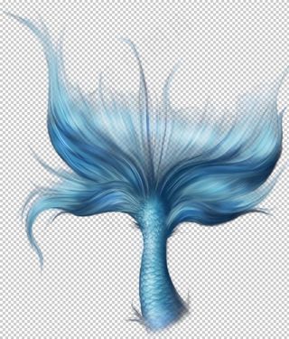 蓝色鱼尾巴图片