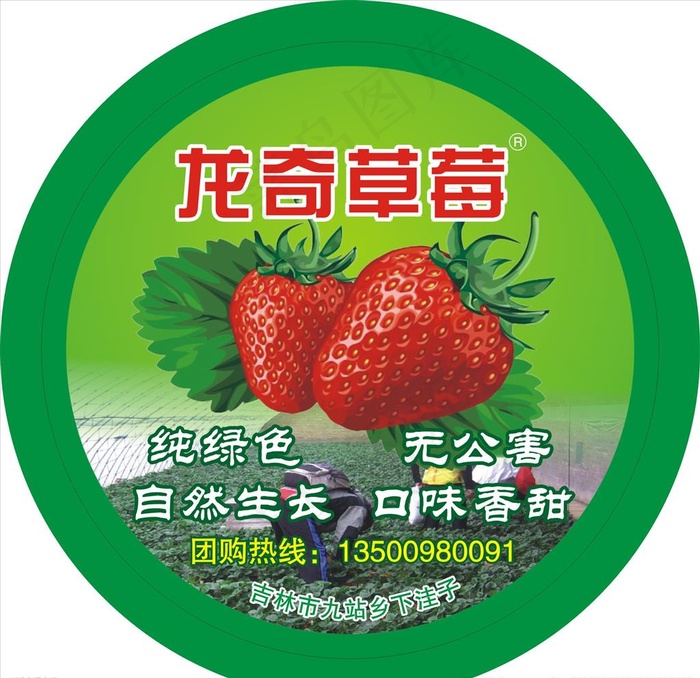 草莓标签图片cdr矢量模版下载