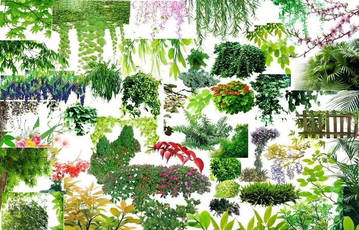 藤条植物图片(5200X3500(DPI:72))psd模版下载