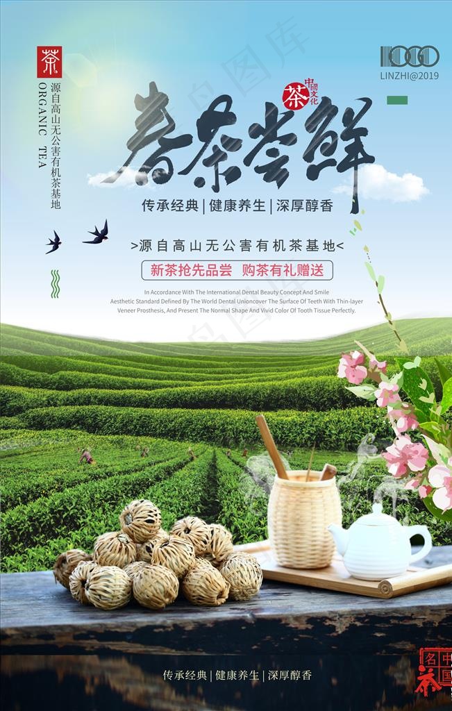 春茶图片
