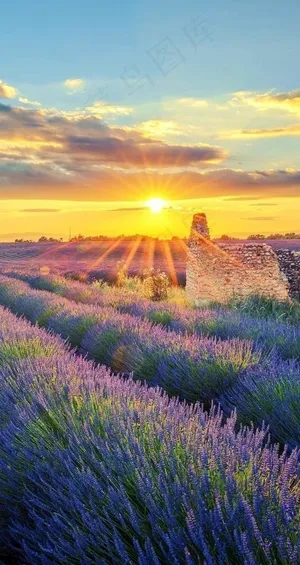 普罗旺斯一景图片 普罗旺斯一景图片