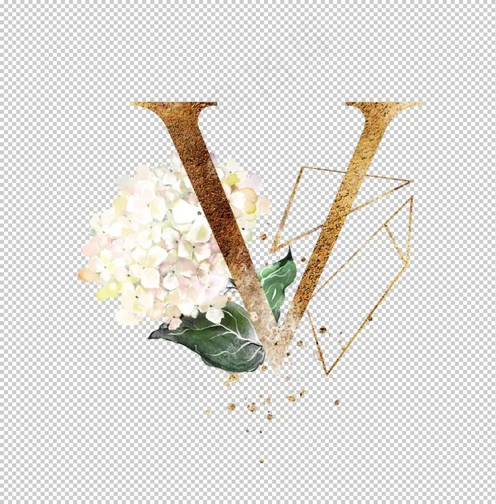 字母V图片
