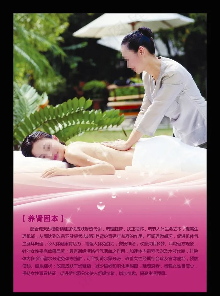 养肾固本图片(1708X2467(DPI:300))psd模版下载