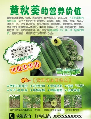 黄秋葵传单图片