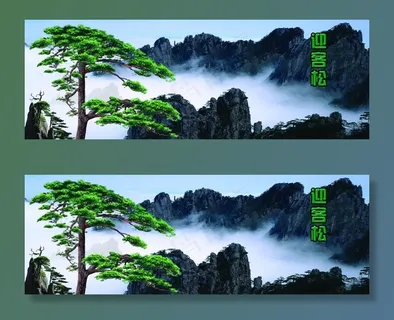 迎客松图片 迎客松图片
