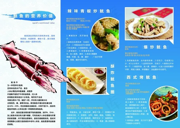 鱿鱼介绍三折页图片ai矢量模版下载