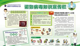 幼儿园诺如病毒宣传栏图片