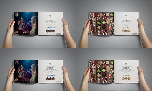 商业招商手册图片