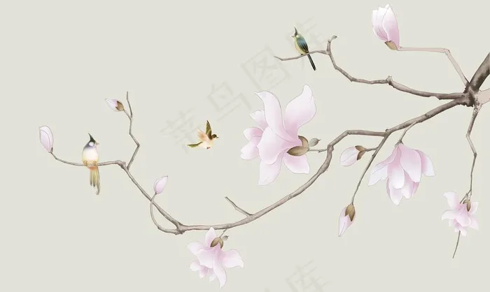 花鸟图片(9071X5709(DPI:72))psd模版下载