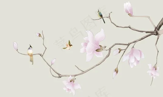 花鸟图片 花鸟图片