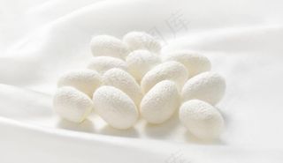 桑蚕丝蚕茧真丝图片