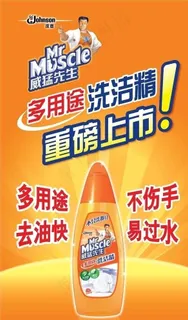 最新庄臣洗洁精 ai图片