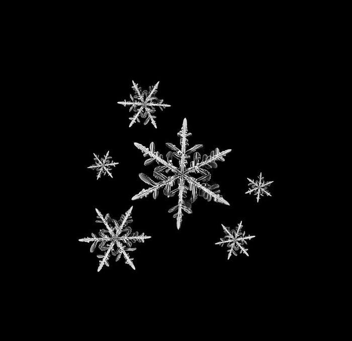 冰晶雪花图片psd模版下载