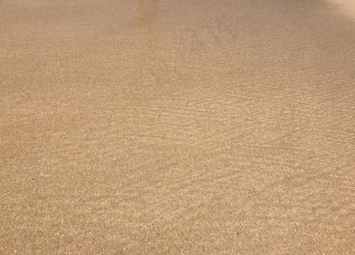 沙子沙滩沙丘图片
