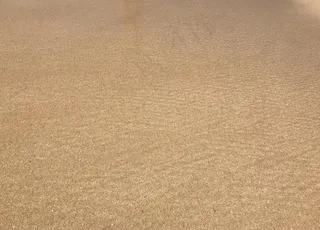 沙子沙滩沙丘图片