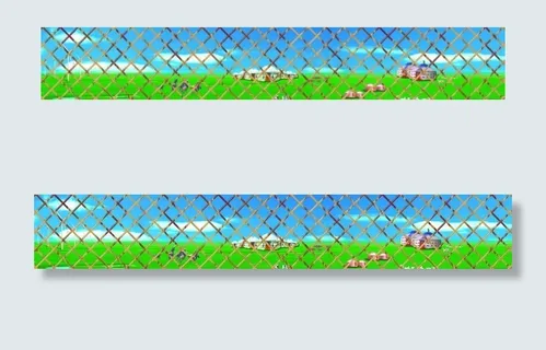 蒙古菜鸟图库片