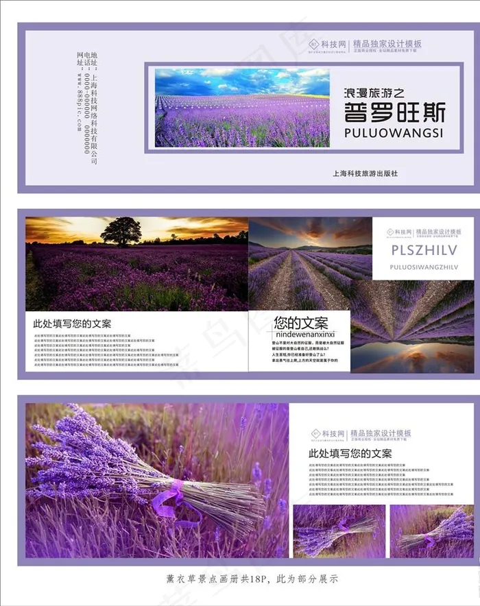 薰衣草图片(210X297)cdr矢量模版下载