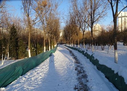 公园小路上的雪景图片
