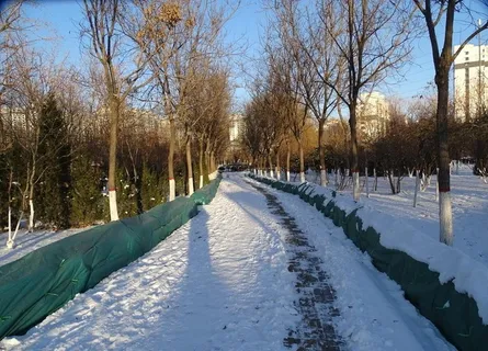 公园小路上的雪景图片