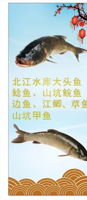 鱼头灯片 鱼头 双色鱼头 鱼肉图片 鱼头灯片 鱼头 双色鱼头 鱼肉图片