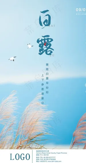 白露图片 白露图片