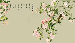 花鸟画 花开富贵背景墙图片