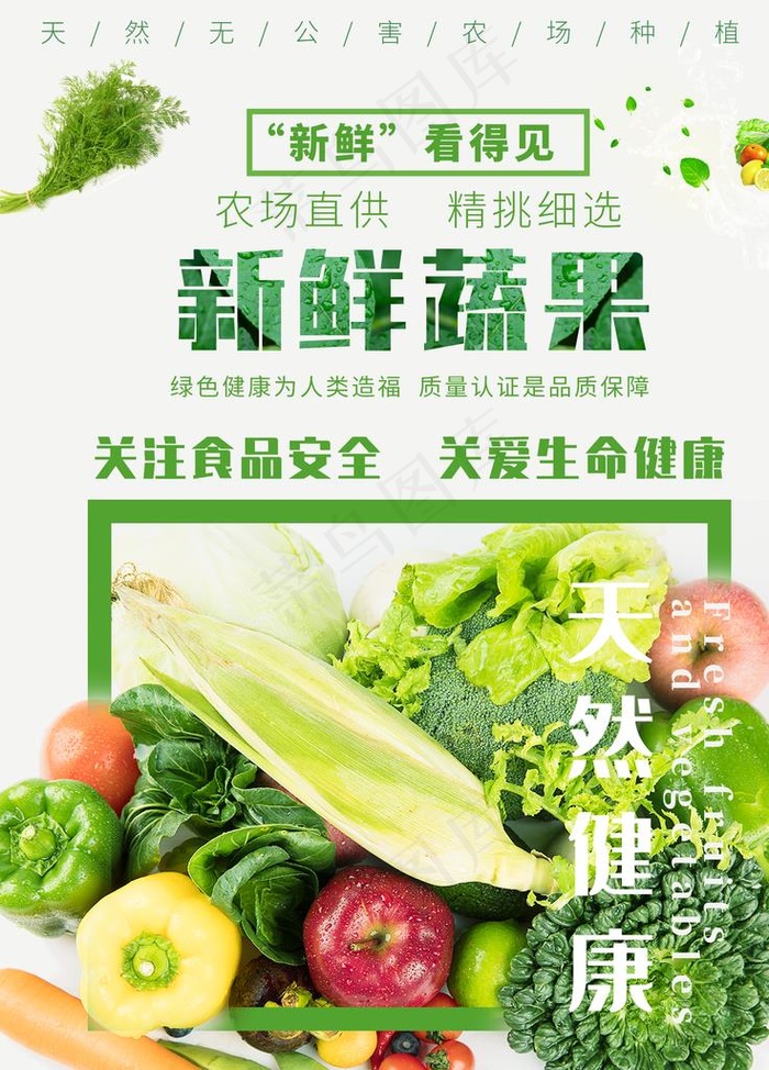 新鲜蔬果图片(1701X2268(DPI:72))psd模版下载