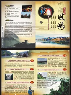 凤凰宣传折页图片