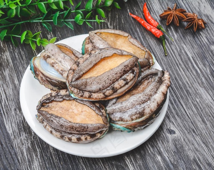鲜活海鲜鲍鱼高清摄影素材图片