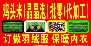 鸡头米  晶晶泡招牌图片