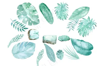 冰心清新叶子图片