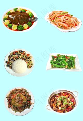 免抠炒菜 盖浇饭图片