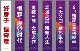 吊旗   道旗  灯杆图片