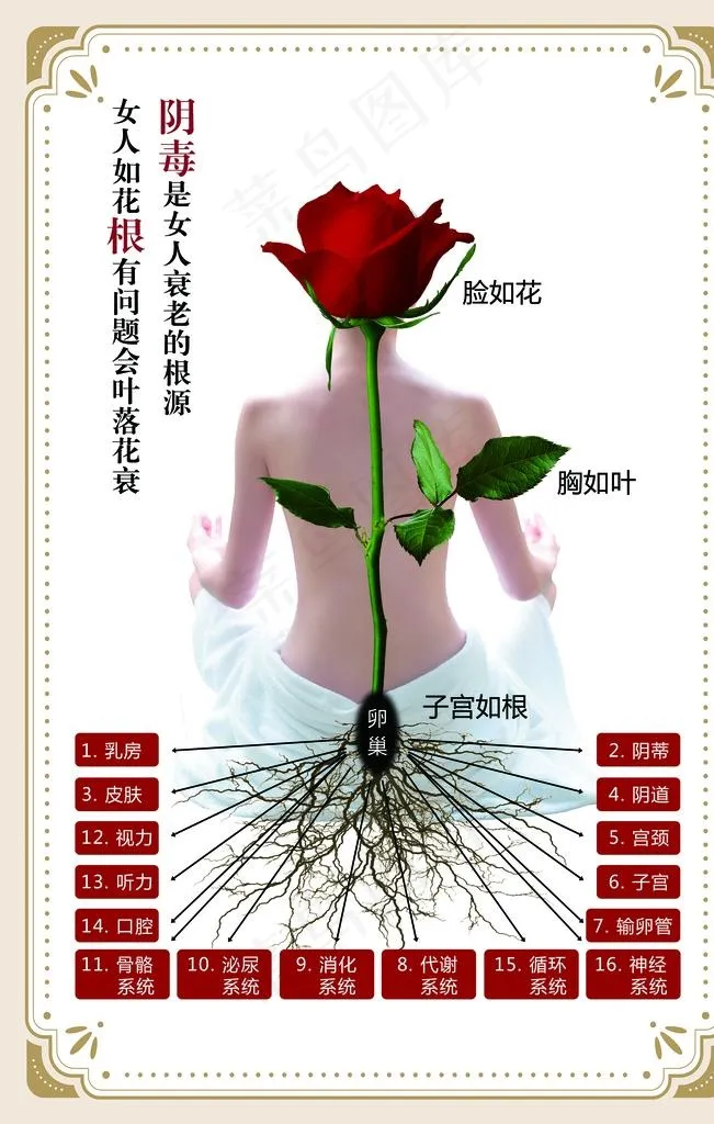 女人如花图片