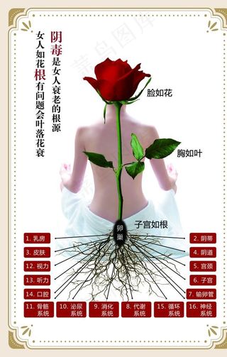 女人如花图片