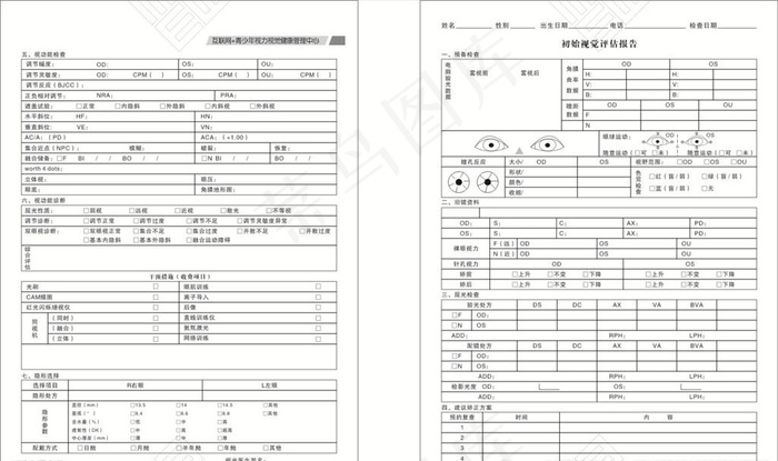 初始视觉评估报告图片