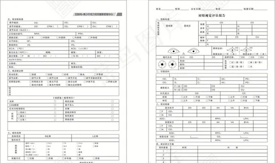 初始视觉评估报告图片