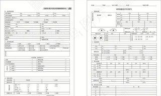 初始视觉评估报告图片