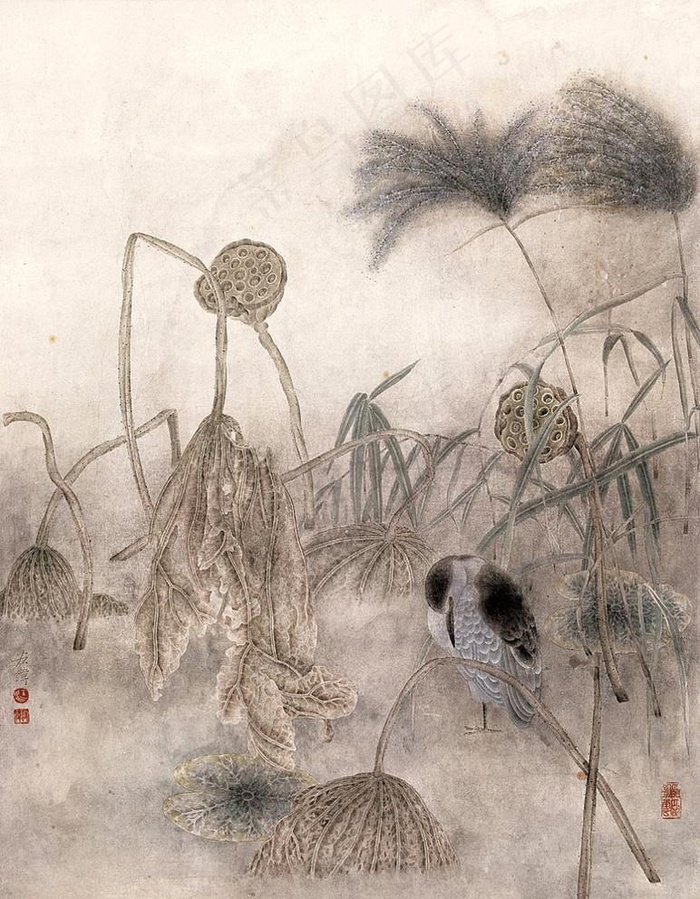 荷塘水鸟图片