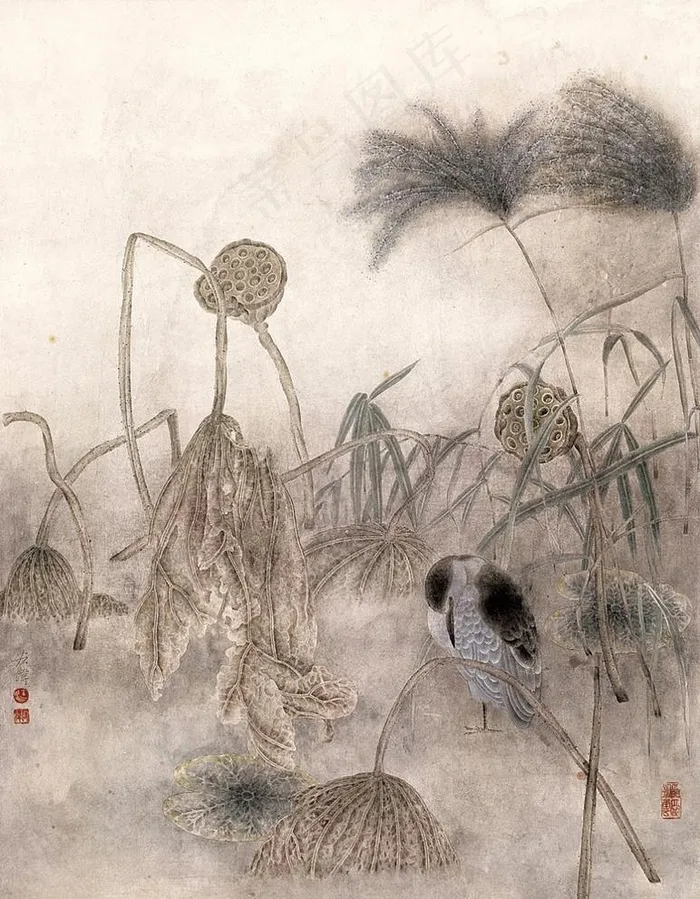 荷塘水鸟图片