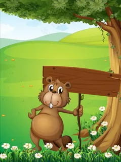 土拨鼠图片 土拨鼠图片