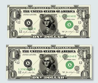 美元花纹图案图片