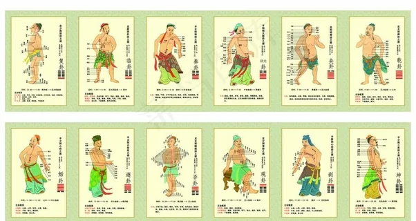 十二经络图图片