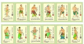 十二经络图图片