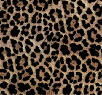 豹纹图片 豹纹图片